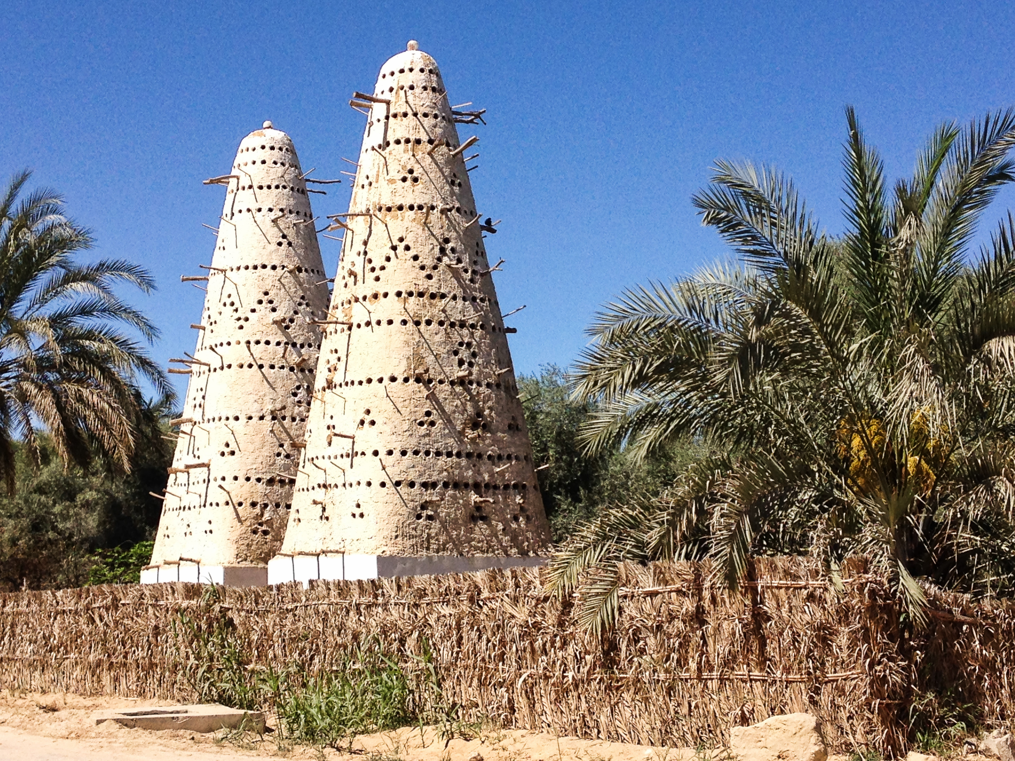 Traditional pigeon houses in Siwa Oasis