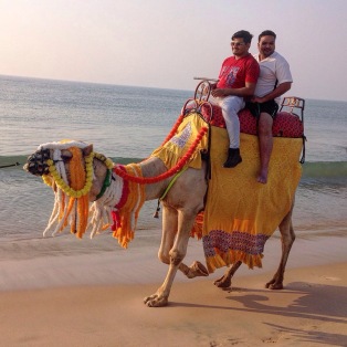 Tourists on camel, side view. Puri, Odisha